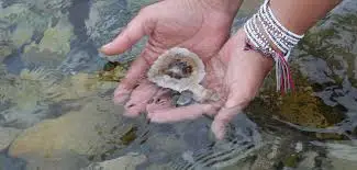 You are currently viewing Lucky charm rituals