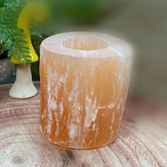 🌿 Traditional Healing Consultations for Family Strength, Hope, and Lasting Success