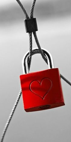 Best love spell caster in USA