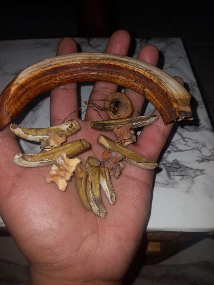 Traditional Healer in New York