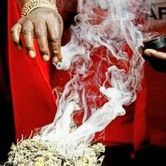 Professional traditional healer services
