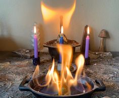 Traditional ellness Guide