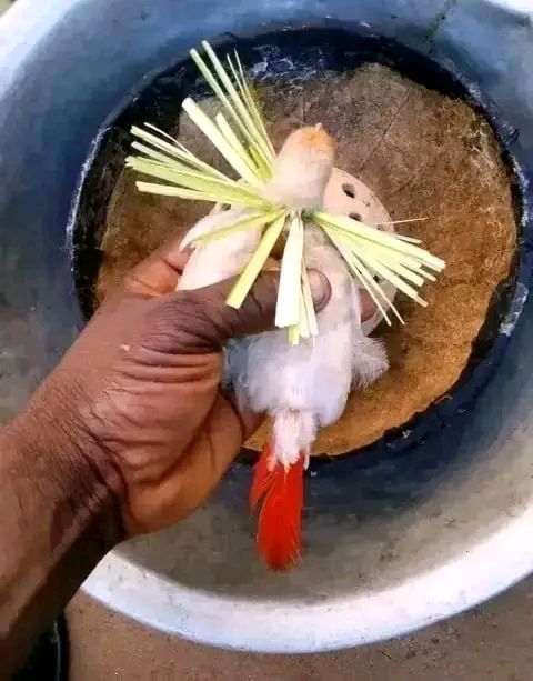 Working Love Rituals